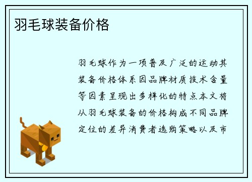 羽毛球装备价格